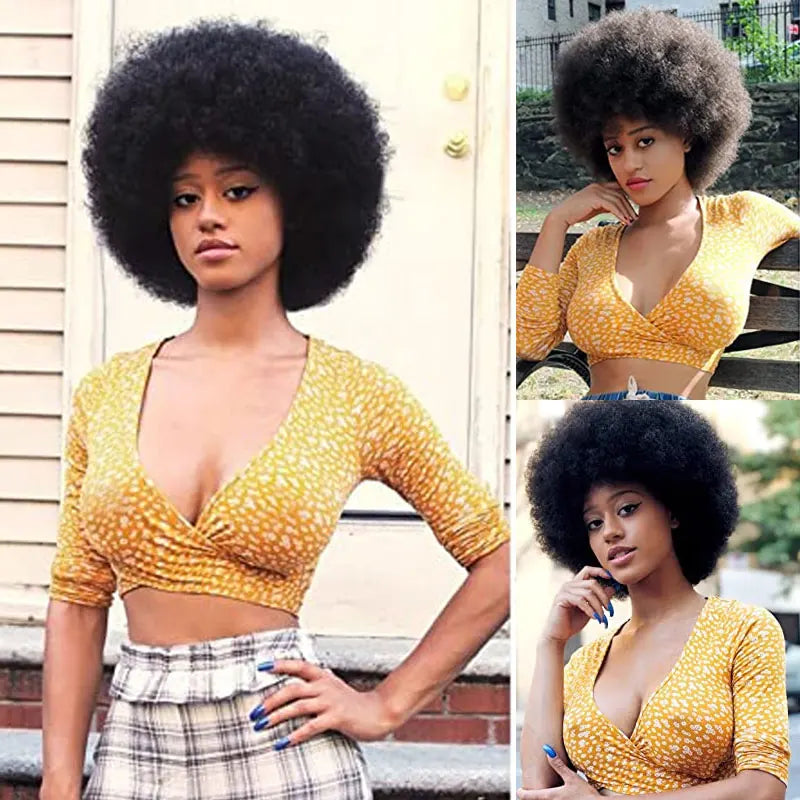 Fluffy Afro Kinky Curly Human Hair Wig