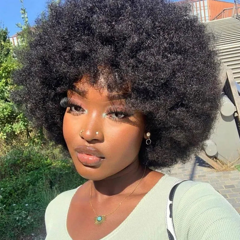 Fluffy Afro Kinky Curly Human Hair Wig