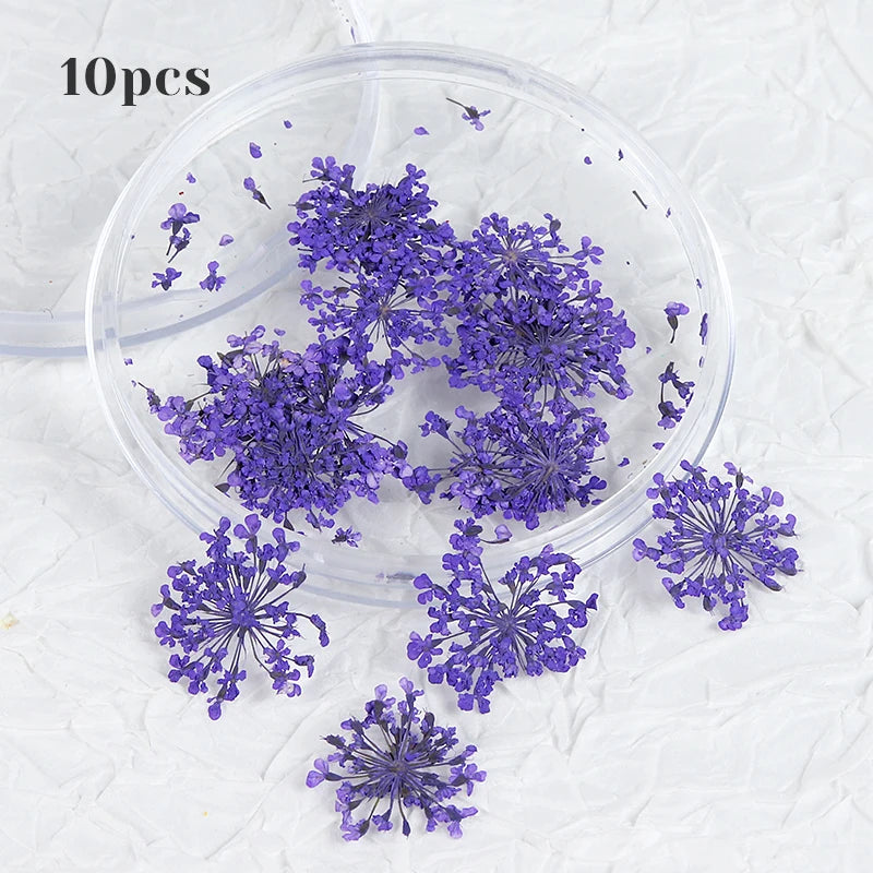 10Pcs 3D Dried Flower Nails Art