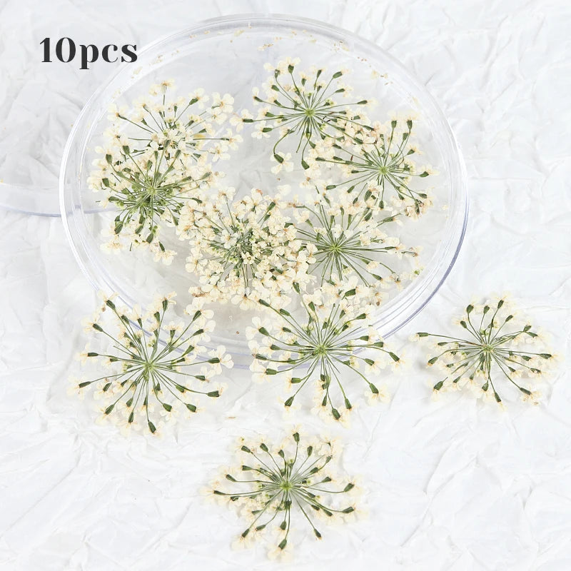 10Pcs 3D Dried Flower Nails Art