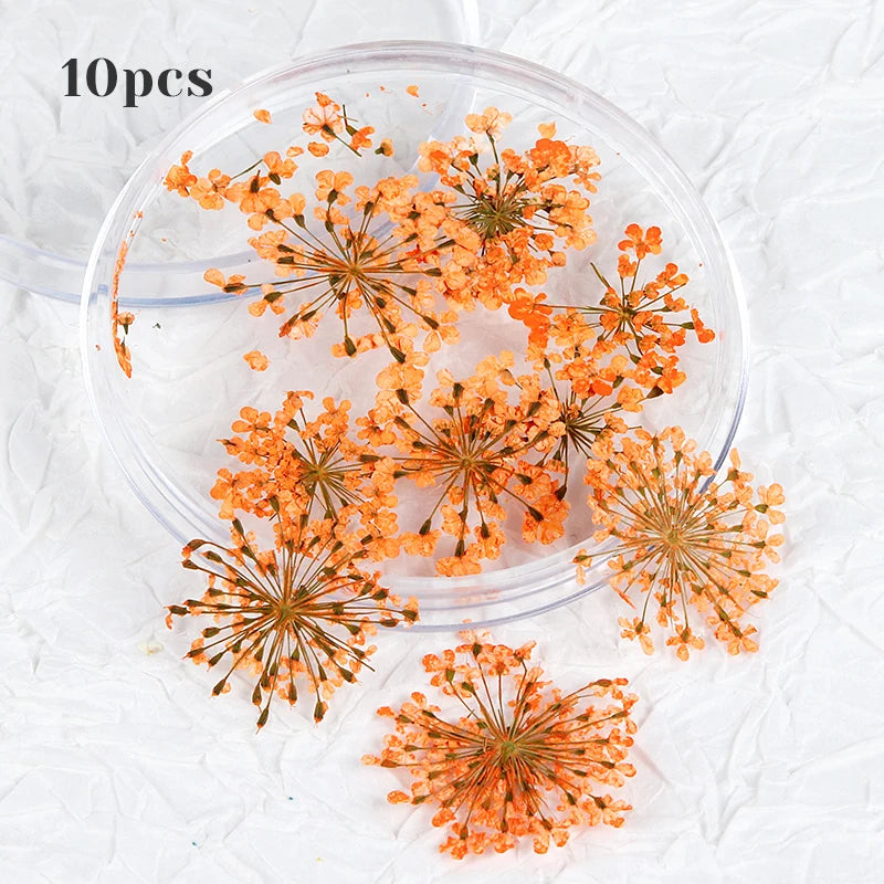 10Pcs 3D Dried Flower Nails Art