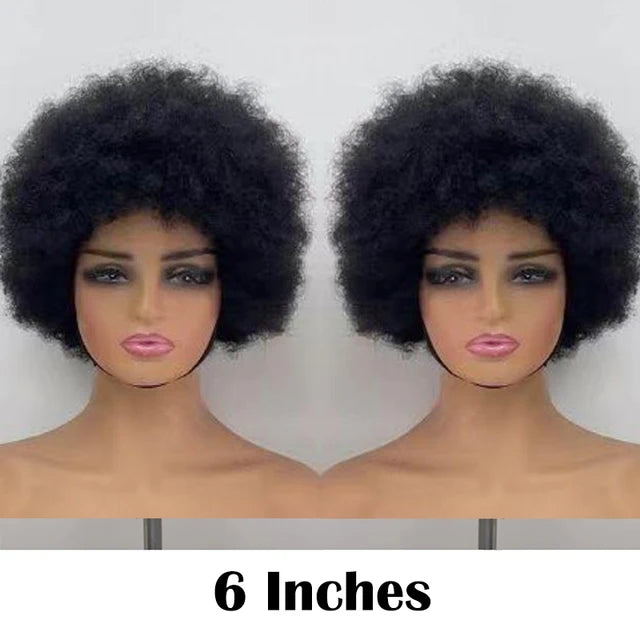Fluffy Afro Kinky Curly Human Hair Wig