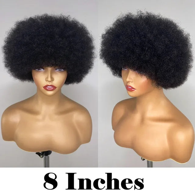 Fluffy Afro Kinky Curly Human Hair Wig