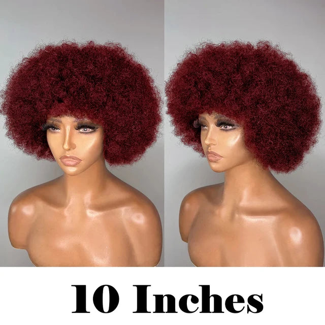 Fluffy Afro Kinky Curly Human Hair Wig