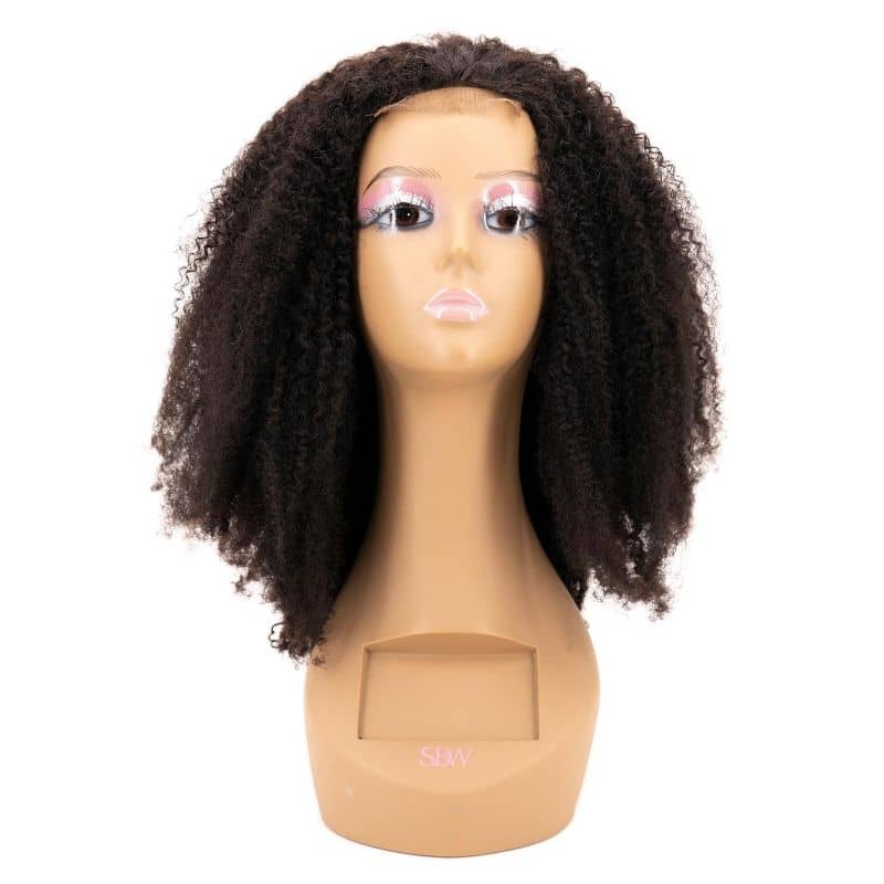 Afro Kinky Transparent Lace Wig - your-beauty-matters