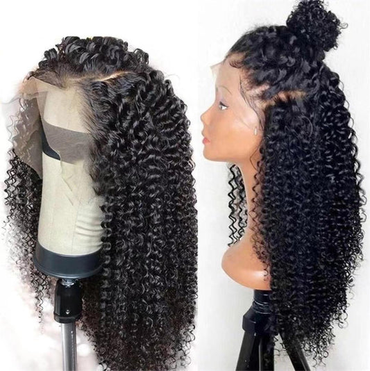 HD Full Lace Brazilian Virgin Human Hair Wigs