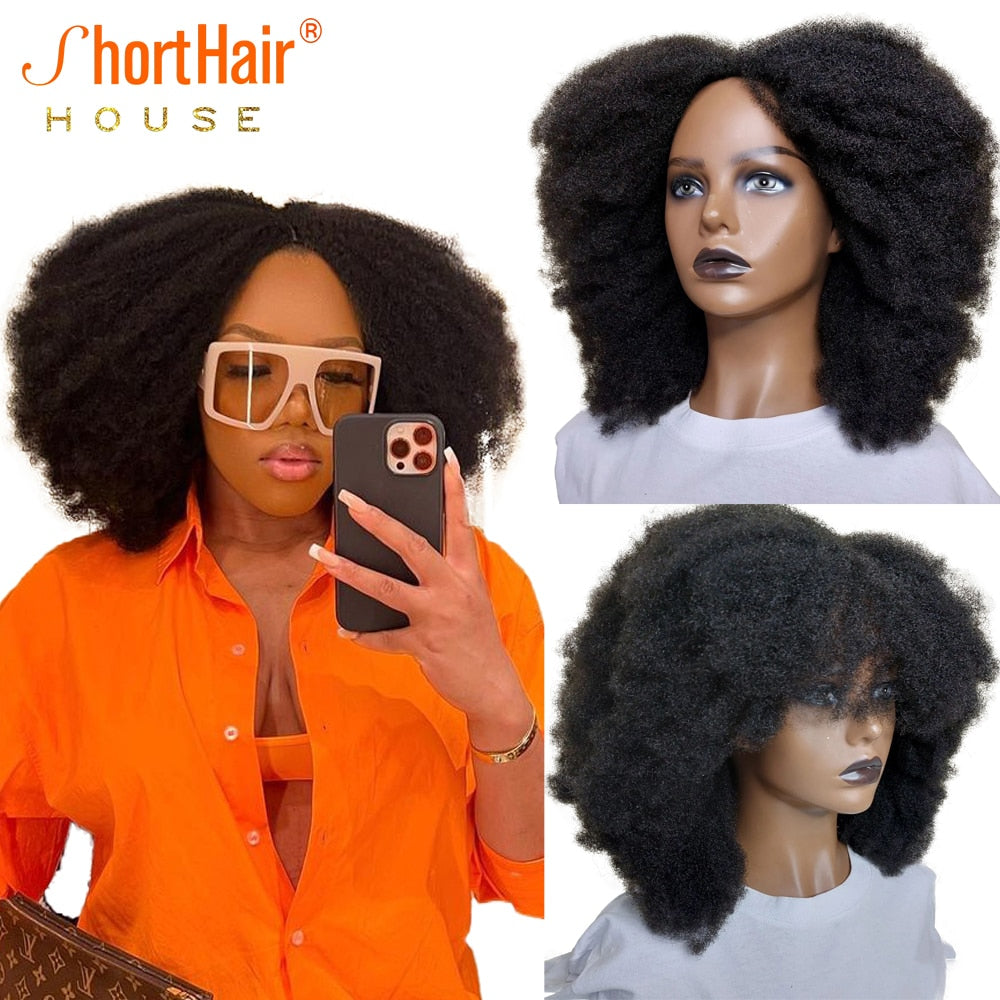 Short Hair Fluffy Afro Kinky Curly Wig - Full Machine Made